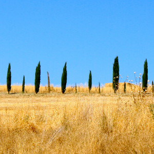 Toscana