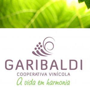 Vinicola Garibaldi logo